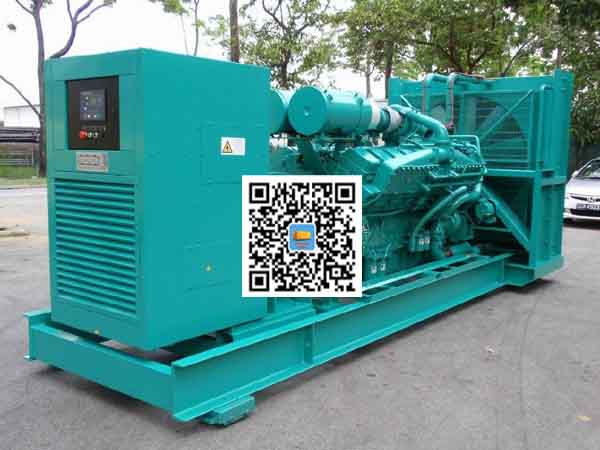 德昌租赁发电机-康明斯发电机性价比还是比较高的