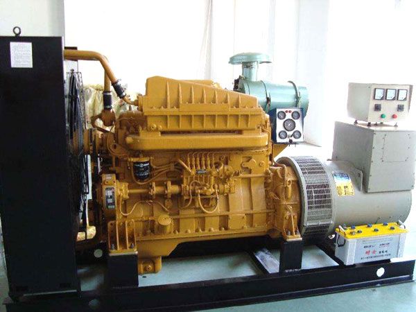 德昌有哪些有效的方法可以预防柴油发电机组的蓄电池出现硫化现象？